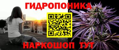 дмт Краснодар