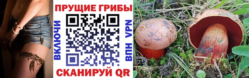 Галлюциногенные грибы мухоморы Киров