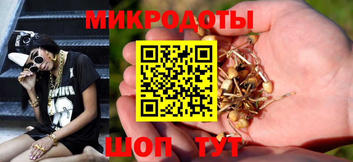 Киров  Псилоцибиновые грибы Magic Shrooms  Псилоцибиновые грибы мухоморы  Вход с VPN 